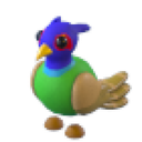 Green-Chested Pheasant